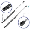 Hyundai Tiburon Rear Trunk Lift Supports (2003-2008)