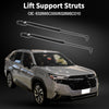 Subaru Forester Rear Hatch Lift Supports (2003-2018)