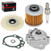 Yamaha Raptor 700 700R Oil Pump & Drive Gear Filter Kit (2006–2024)