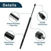 Ford Flex Rear Hatch Lift Supports Struts Gas Springs (2009-2019)