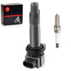 Can-Am Commander 700 Ignition Stick Coil & Iridium Spark Plug (2010-2024)