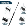 Kia Jiale II (FJ) Rear Hatch Lift Supports (2006-2010)