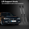 BMW Z3 Tailgate Lift Supports  Struts (1996-1999)