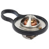 Chrysler Sebring, 300, Dodge Charger Engine Coolant Thermostat (2001-2010)