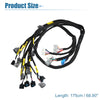 Honda Civic B16 B18 D16 OBD2 Engine Wiring Harness (2001-2005)