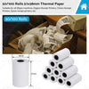 Credit Card & Cash Register POS AU 50 x Thermal Paper Rolls