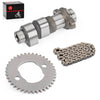 Honda Fourtrax 300 Camshaft & Cam Timing Chain & Sprocket (1988–2000)
