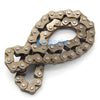 Honda TRX350FE FM Rancher, TRX350 ES Rancher Cam Chain (2000-2006)