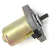 Benelli K2 Naked 50, Pepe 50 Starter (1998-2006)