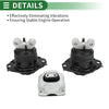 Dodge Challenger Engine Motor Mount Set (2015-2023)