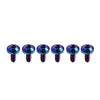 Fastening Blue 6 x M5x15mm Titanium Torx Head Self Tapping Screws