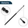 Toyota Sienna Rear Hatch Lift Supports (2004-2020)