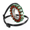 Kawasaki ZX-6R ZX600G Ninja Stator, Regulator, Gasket (1998-1999)