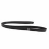 Holden Commodore VT VX VU VY VZ 5.7 Gen3 LS1 V8 Drive Belt (1997-2007)