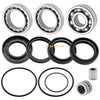 Honda FourTrax 300 TRX300FW Rear Differential Bearings & Seals