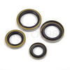 EZGO Oversize Bore 0.25mm Piston Ring Gasket Kit Robin 295cc (1991–2008)
