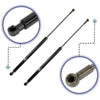 Toyota Prius Rear Trunk Lift Supports (2004-2007)