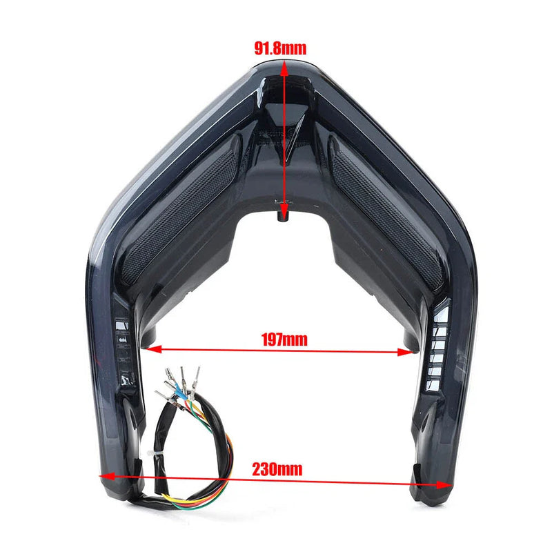 Ducati Streetfighter Panigale V4 V4S V2 LED Tail Light Turn Signal (2018-2022)