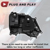 Peugeot 301 Right Tail Light Socket (2017-2020)
