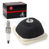 Yamaha TTR125LE Air Filter Element & Spark Plug