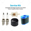 Briggs & Stratton Two Cylinder Motors & Husqvarna Mowers Service Kit