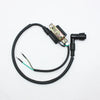 90cc 110cc 125cc 140cc PIT Quad ATV Buggy Ignition Coil Spark Plug Lead