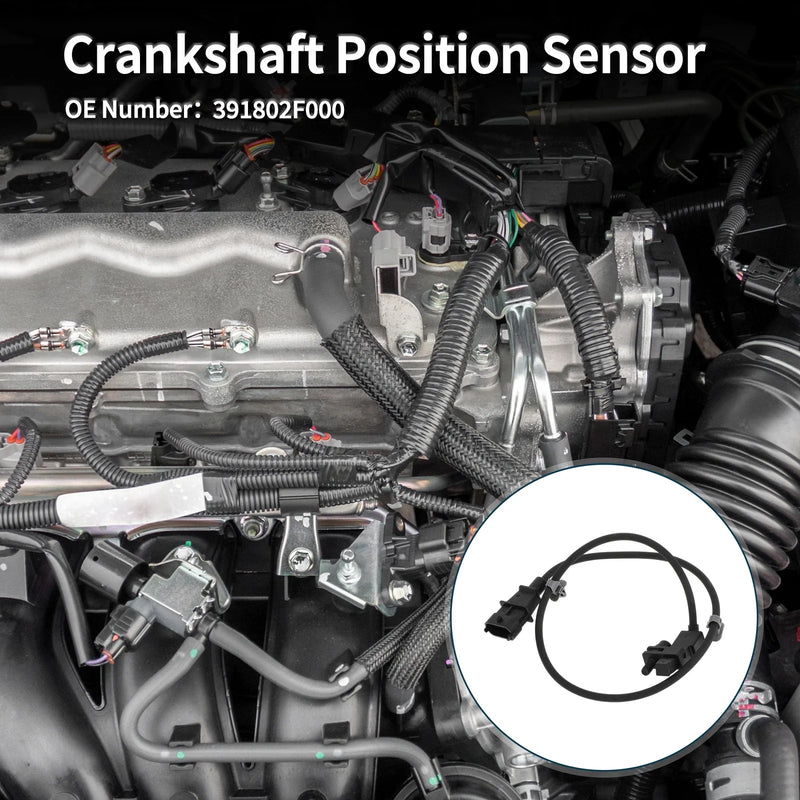 Hyundai Santa Fe CM 2.0 CRDi Crankshaft Position Sensor (2009-2012)