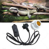 Brooder Reptile Tortoise Ceramic Heat UV UVB Lamp Light Holder