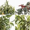 Home Decor 15" Faux Peperomia Watermelon Hanging Plants