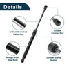 Kia Ceed Rear Hatch Lift Supports  Gas Struts (2007-2012)