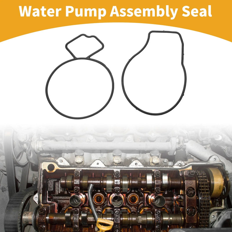 Chevrolet Equinox Water Pump Assembly Seal (2010 - 2017)