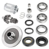Honda Rancher TRX350FE / FM / TE / TM 2000-06 Rear Diff. Ring Pinion Gear Bearings