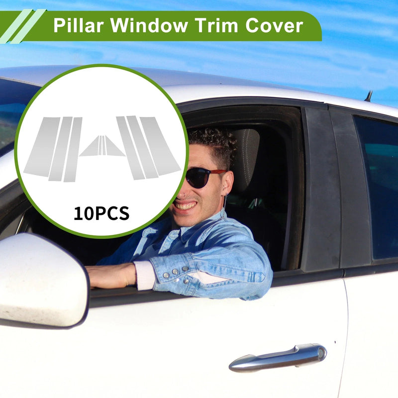 Dodge Grand Caravan 10 Pcs Door Pillar Window Trim Silver Tone (2008-2016)
