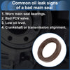 Hyundai Accent, Kia Rio Front Crankshaft Oil Seal (1994-2011)