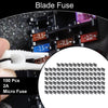 Car Boat Truck RV Motorcycle Micro Fuse 100 Pcs 2A Blade Fuse
