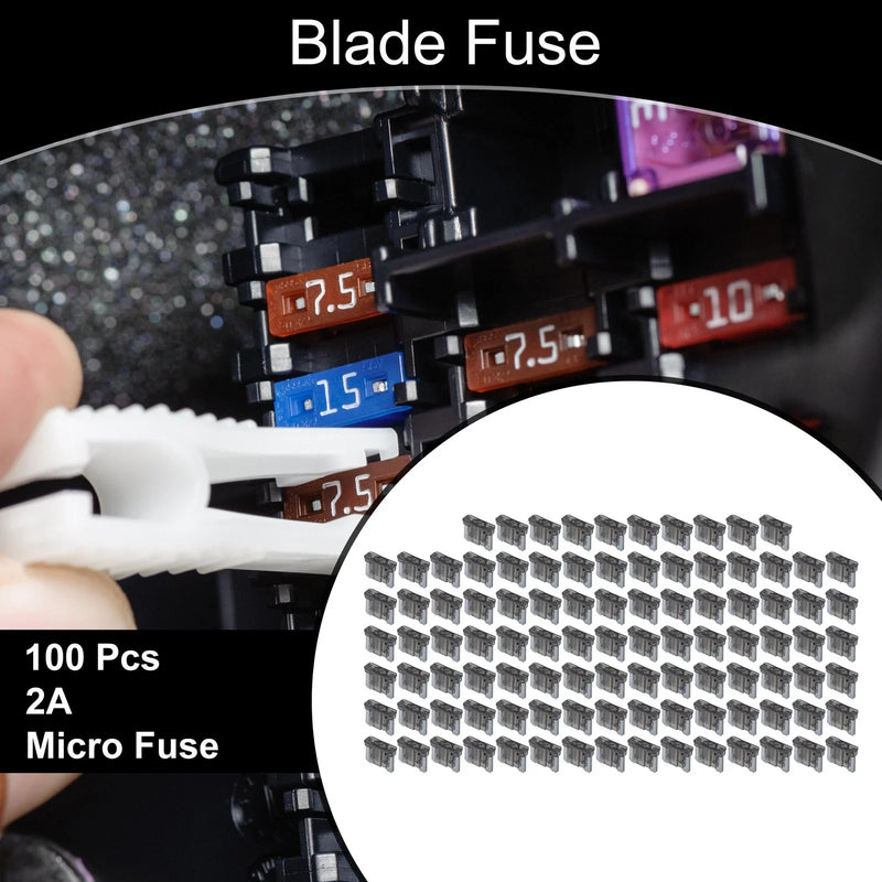 Car Boat Truck RV Motorcycle Micro Fuse 100 Pcs 2A Blade Fuse