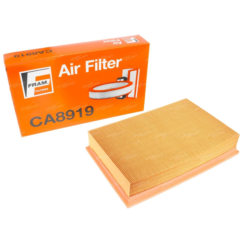 Ford Transit 4cyl 2.3L Air Filter (2006-2010)