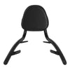 Honda Fury VT1300 Rear Passenger Seat & Sissy Bar Backrest (2010-2025)