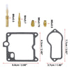 Yamaha TT250 XT250 Carburetor Repair Rebuild Kit