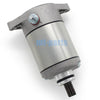 Suzuki LTF300F King Quad 300, LTF250F Quad Runner Starter (1999-2004)