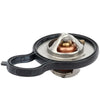Chrysler Sebring, Dodge 300 Engine Coolant Thermostat (2001-2010)