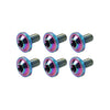 Motorcycle Bike 6 x M6x30mm Alloy Torx Head Screws