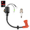 Yamaha Outboard 2-Stroke 9.9-250HP Ignition Coil & Spark Plug