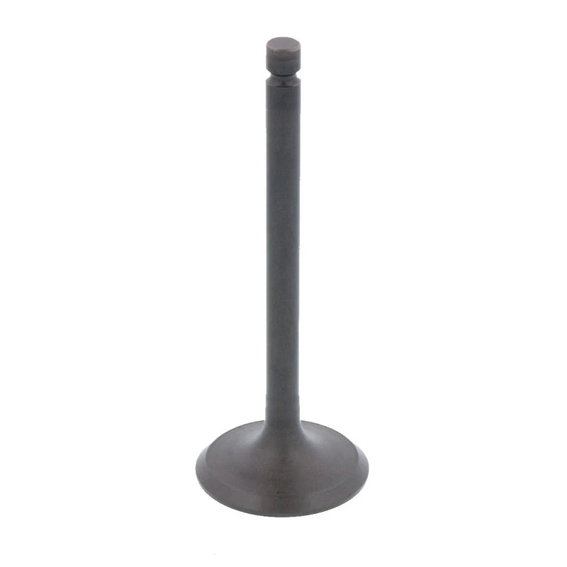 Polaris Sportsman 550 Engine Exhaust Valve (2009–2014)