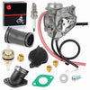 Arctic Cat 300 2x4 / 4x4 Carburetor W Intake Manifold Boot (2001-2005)