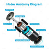 Various Models 12V 30W Permanent Magnet DC Electric Motor Generator