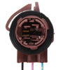 Brake Tail Light Harness - 3057 3155 3157 Bulb Socket Connector