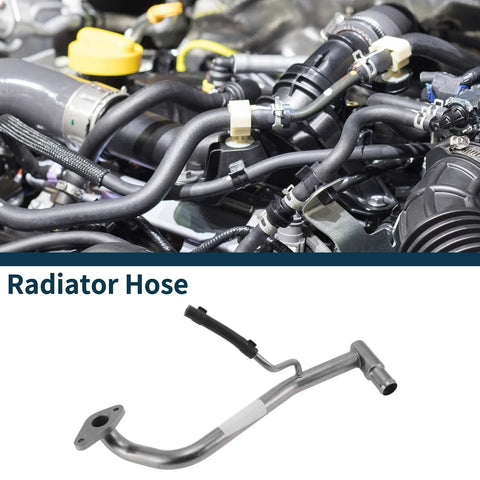 Chevrolet Malibu Radiator Hose 2.0L (2013-2022)