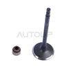 Nissan Altima Xterra Frontier 2.4 DOHC L4 8x Intake Oil Seals (1998–2004)