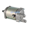 TGB ATV Blade 250, Blade 325, Target 325 Starter Motor (2005-2015)